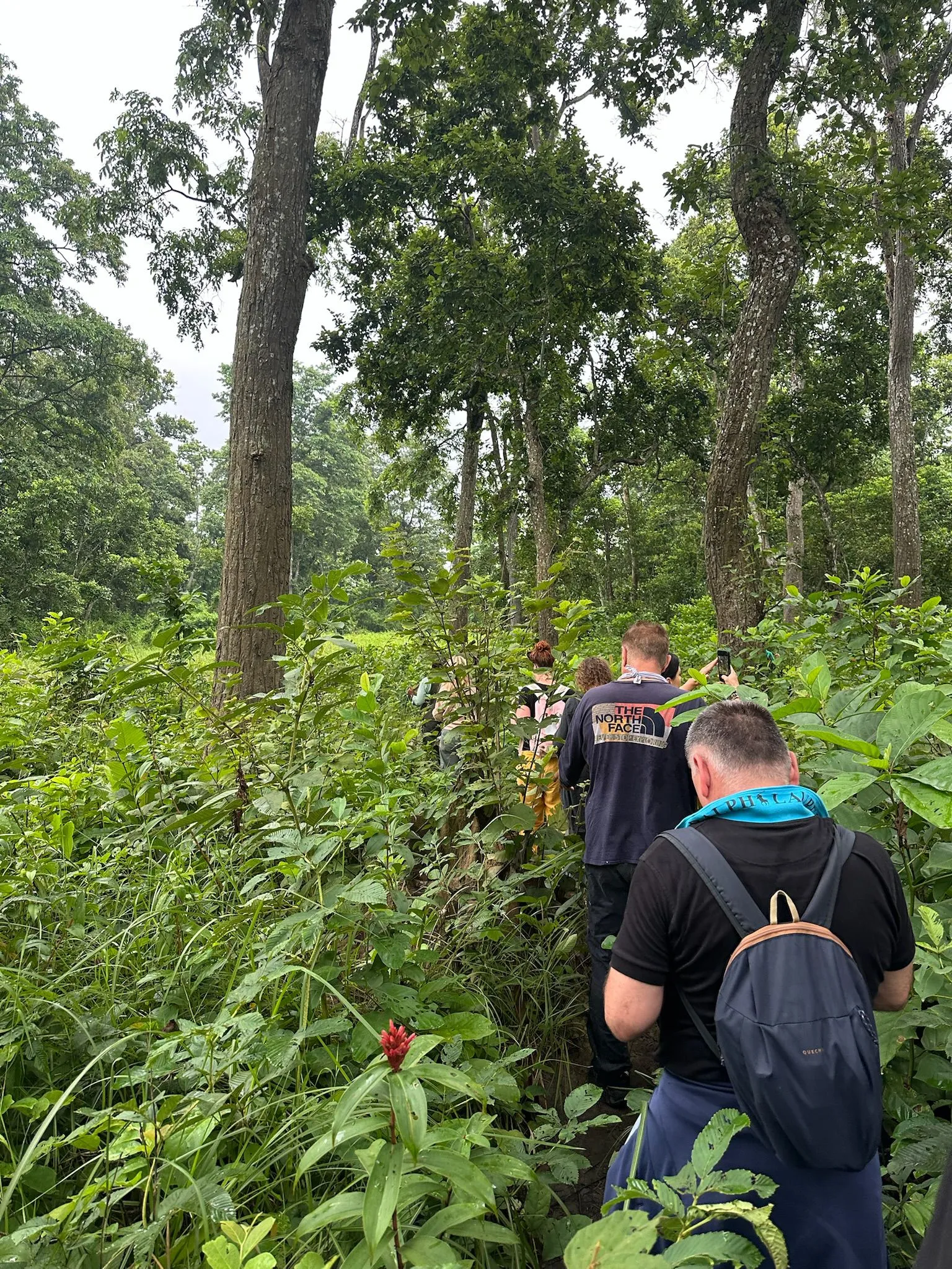 Zdjęcie WhatsApp 2025-12-03 o 10.45.31_5555bb26