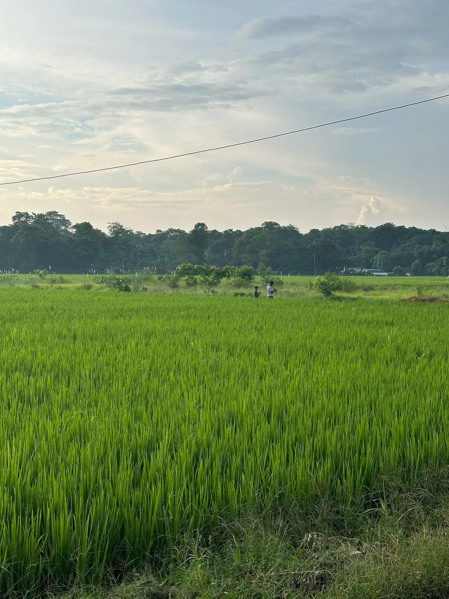 Zdjęcie WhatsApp 2025-12-03 o 10.45.31_7924c95c