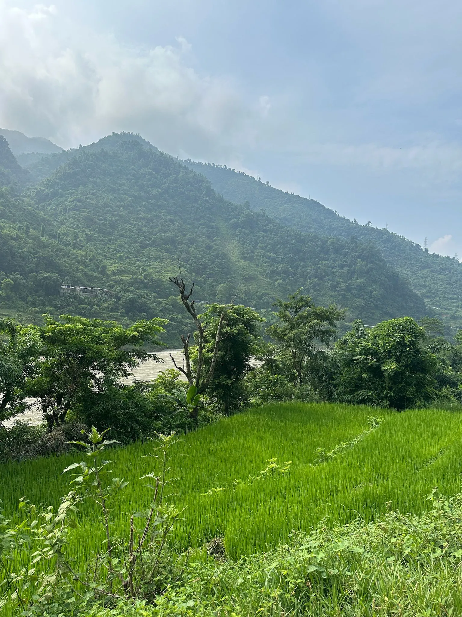 Zdjęcie WhatsApp 2025-12-03 o 10.45.31_b17612d0