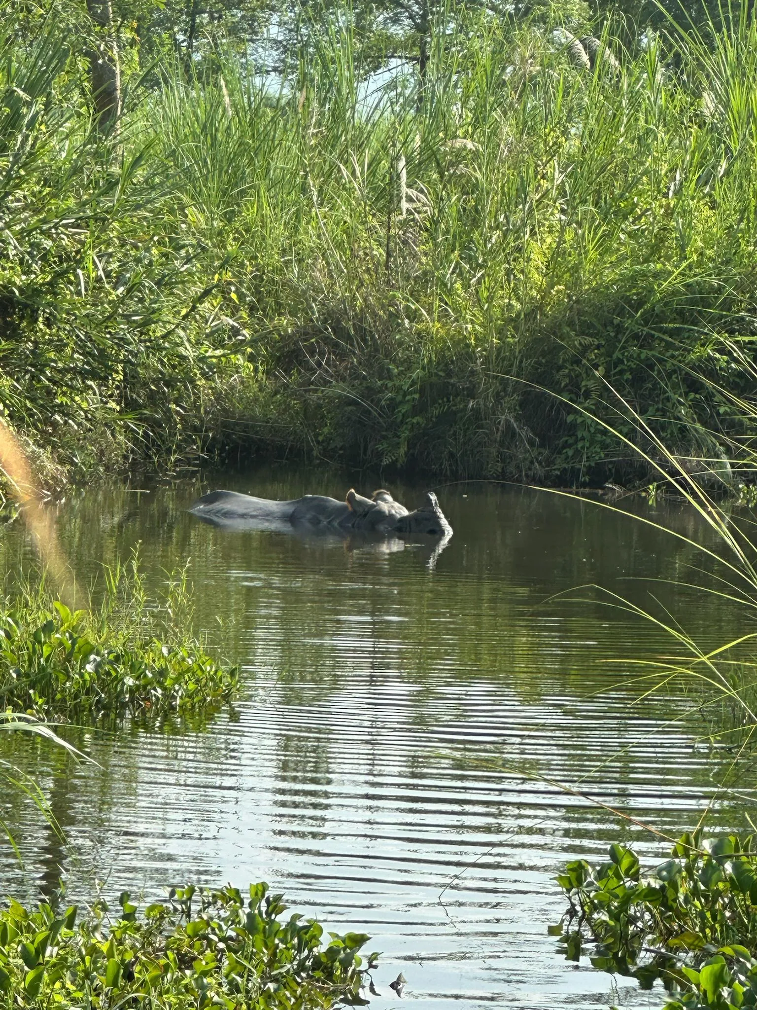 Zdjęcie WhatsApp 2025-12-03 o 10.45.31_f4cb7b99