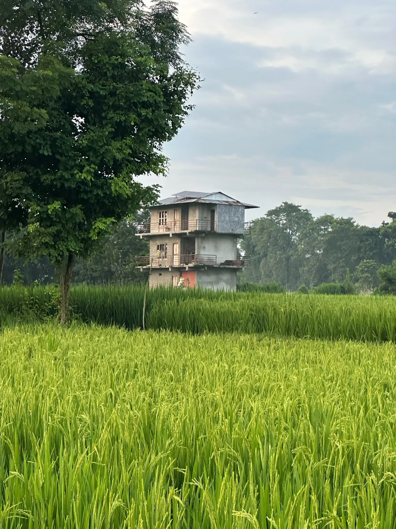 Zdjęcie WhatsApp 2025-12-03 o 10.45.32_4e3624de