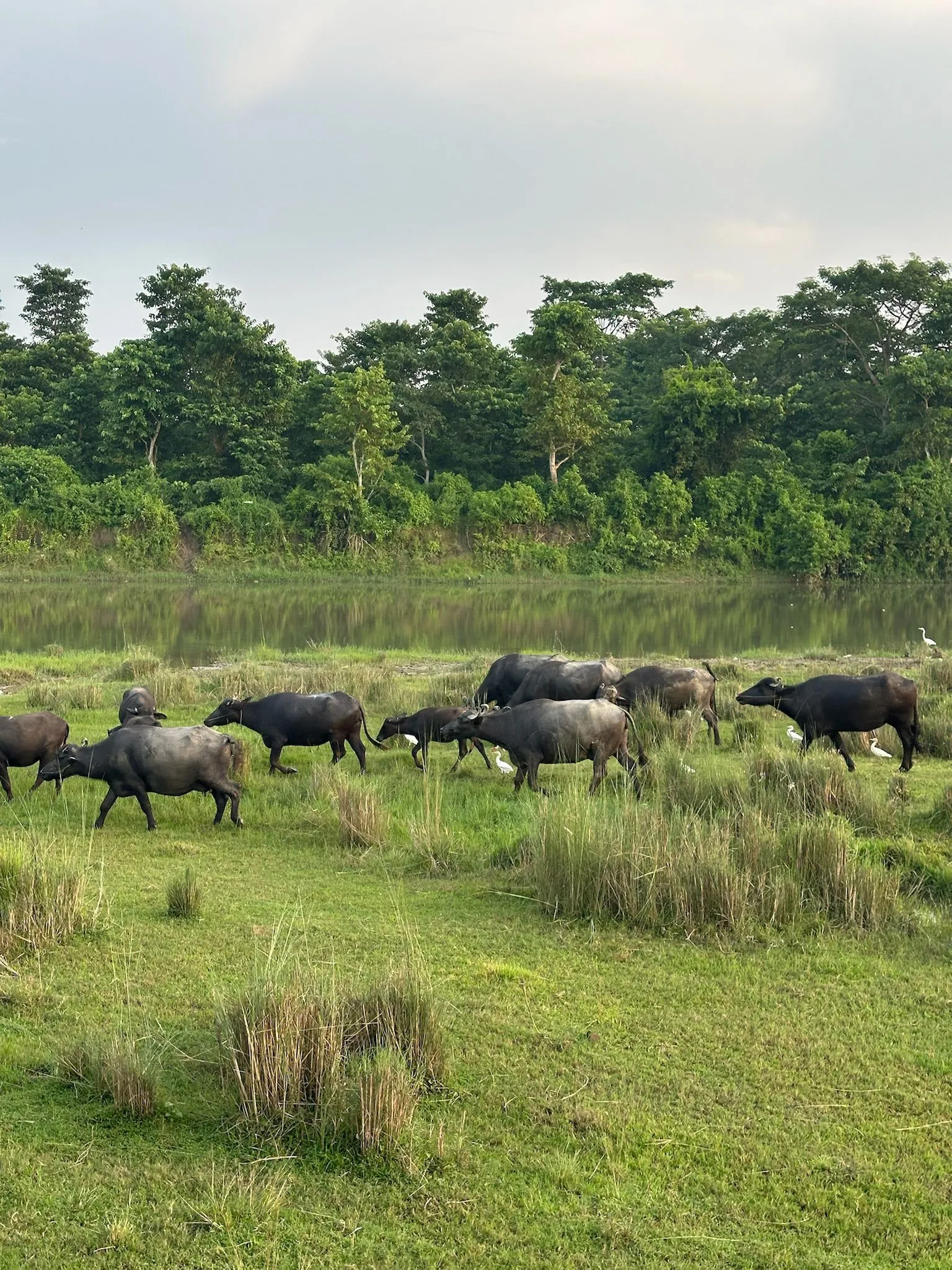 Zdjęcie WhatsApp 2025-12-03 o 10.45.32_ece39807