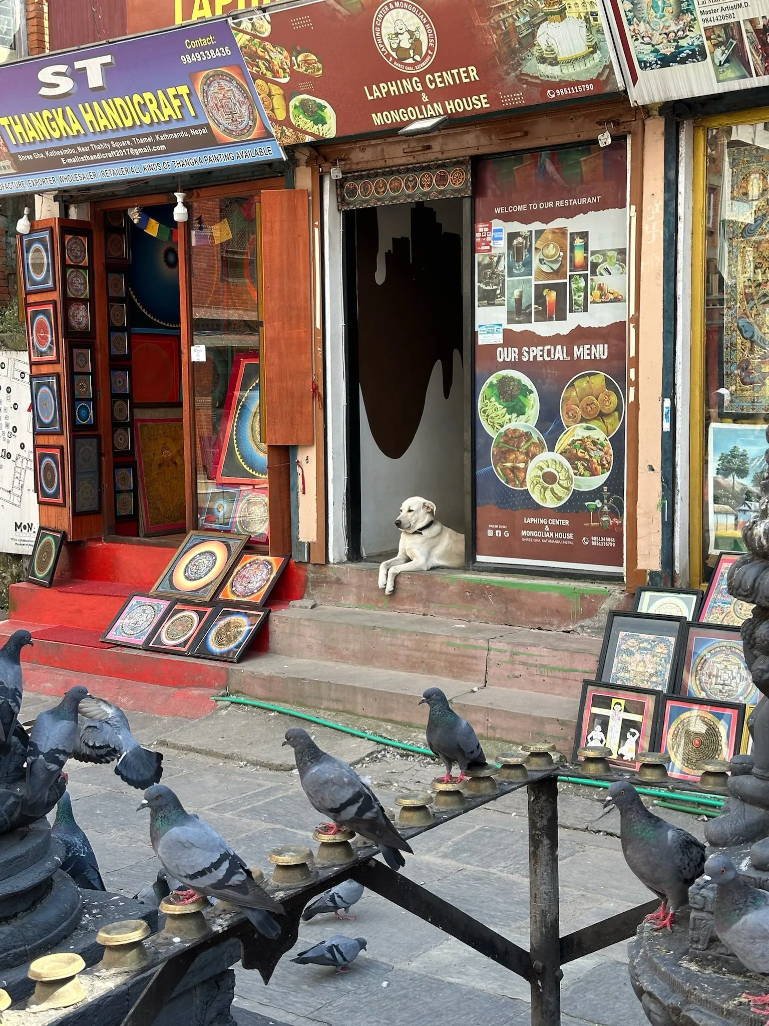 Zdjęcie WhatsApp 2025-12-03 o 10.45.33_1c129ad1