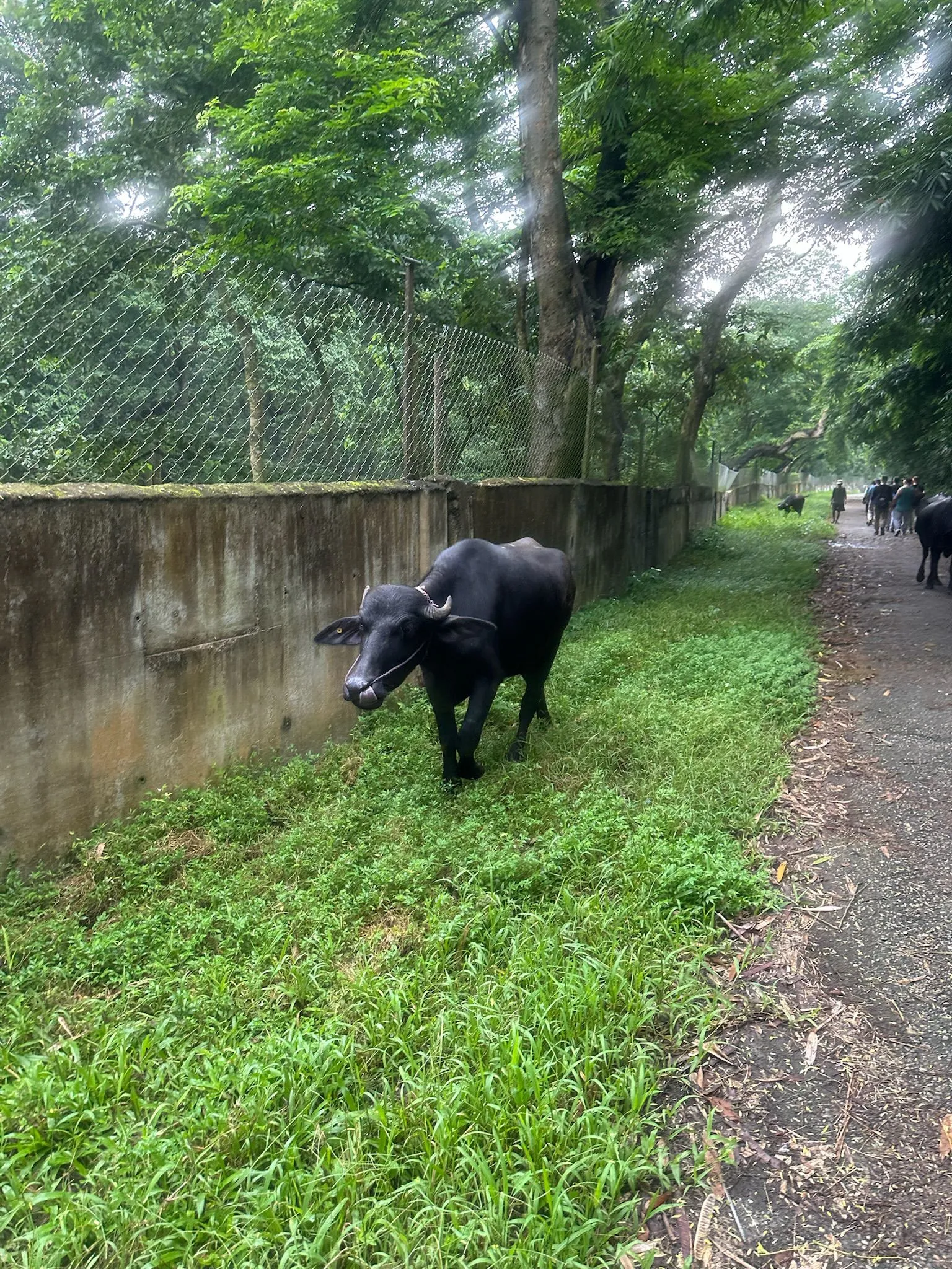 Zdjęcie WhatsApp 2025-12-03 o 10.45.33_dc794b38