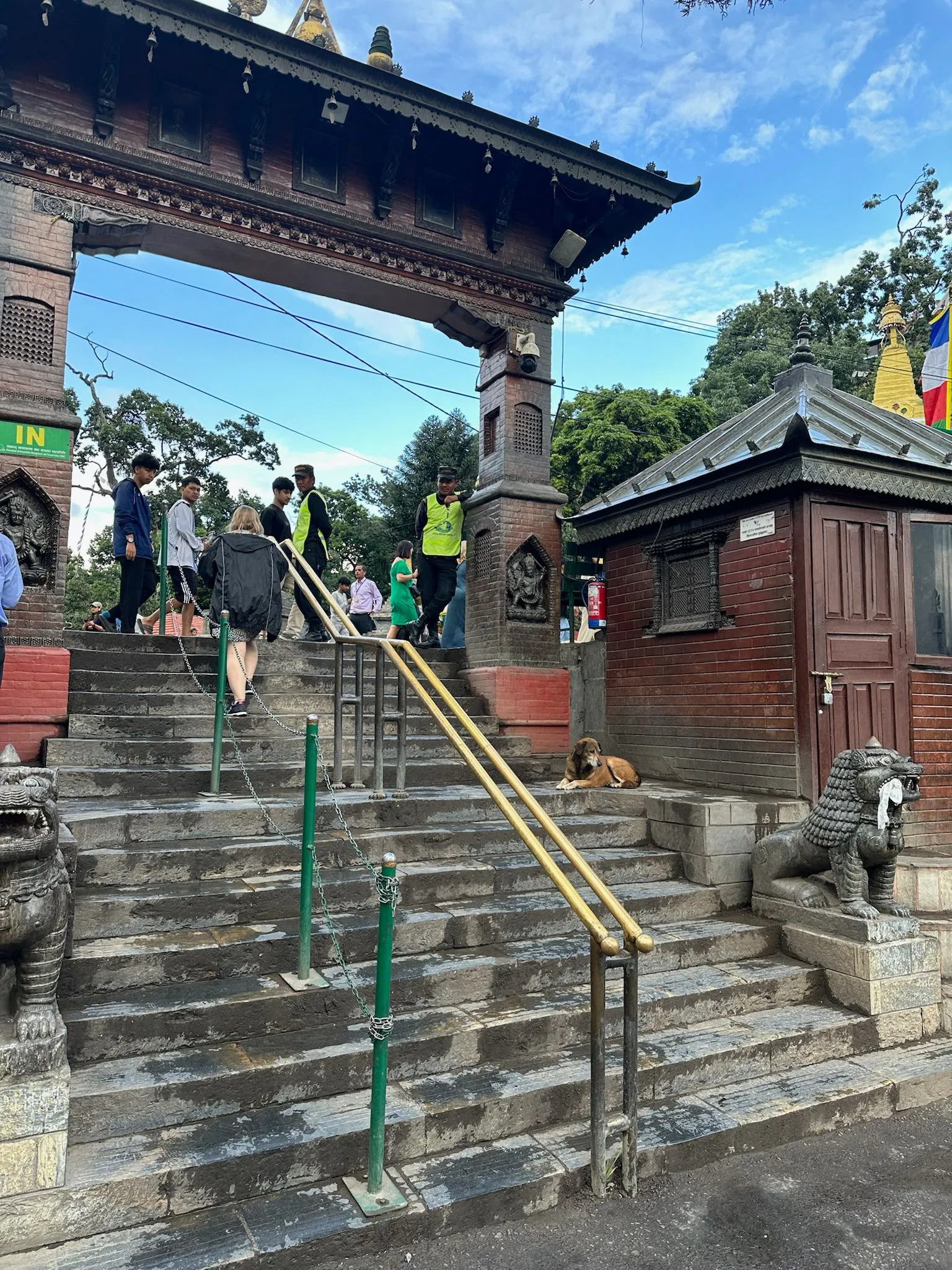 Zdjęcie WhatsApp 2025-12-03 o 10.45.36_a9ca5b78