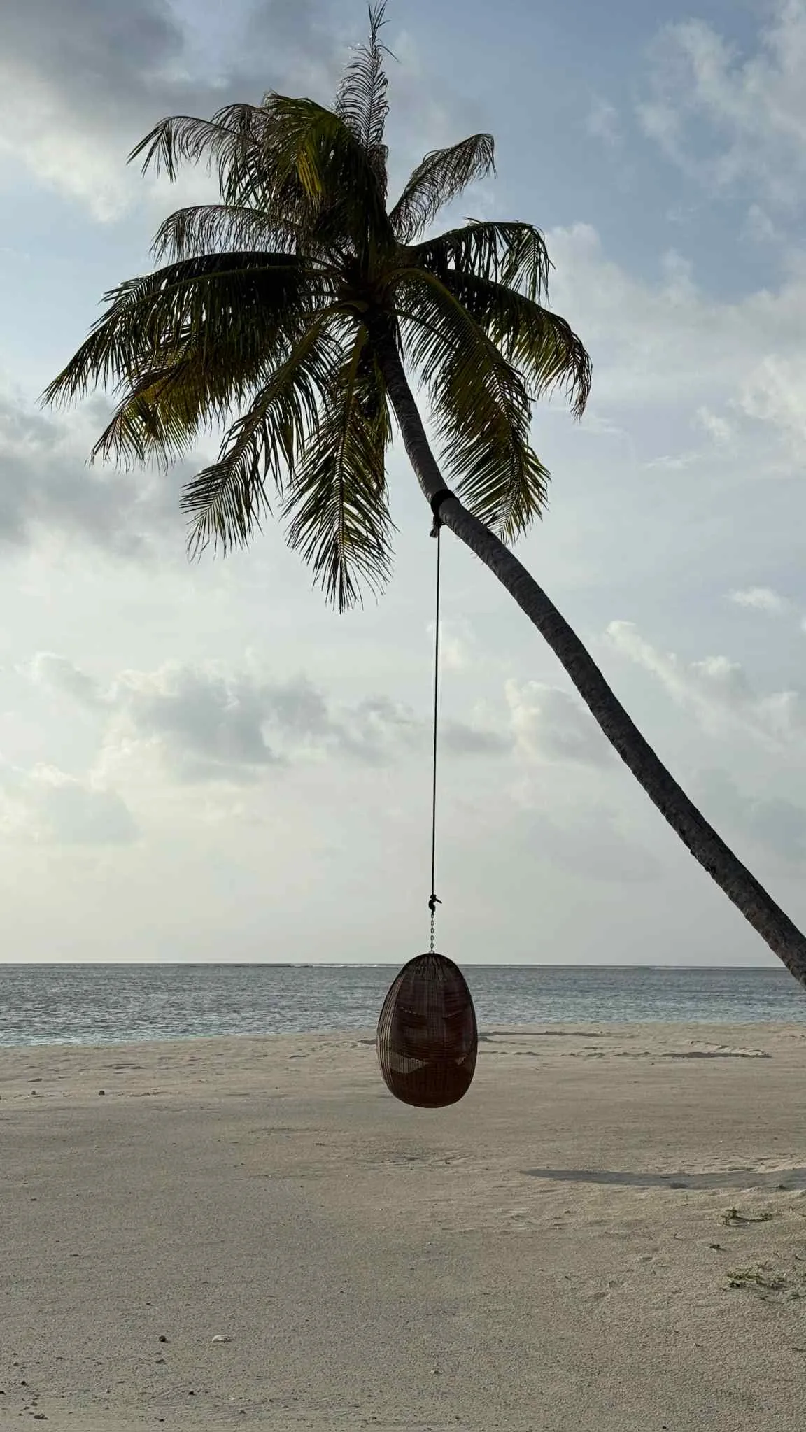 aaf47b2e-ef38-4c83-a5a8-19a8a8b4d730