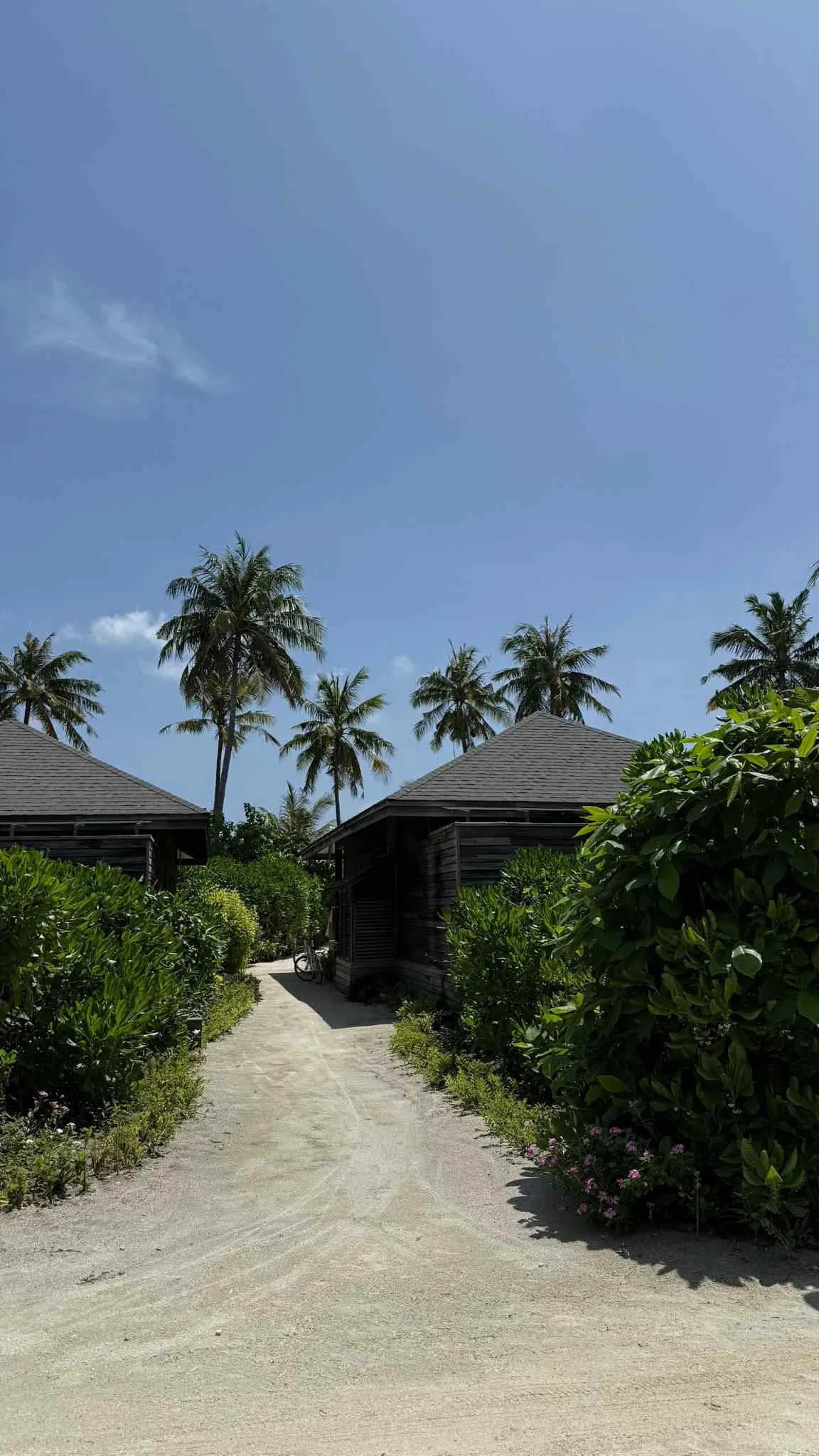 ad145c4f-adef-4815-936d-96cb2a3de72b