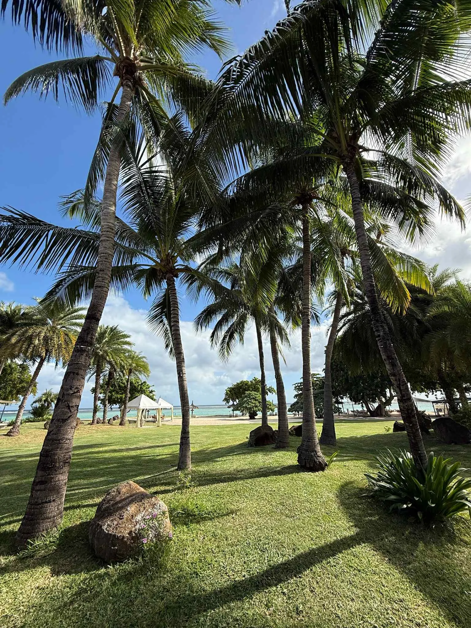 b13932d4-4491-4dfe-9b79-85c2777ded8a